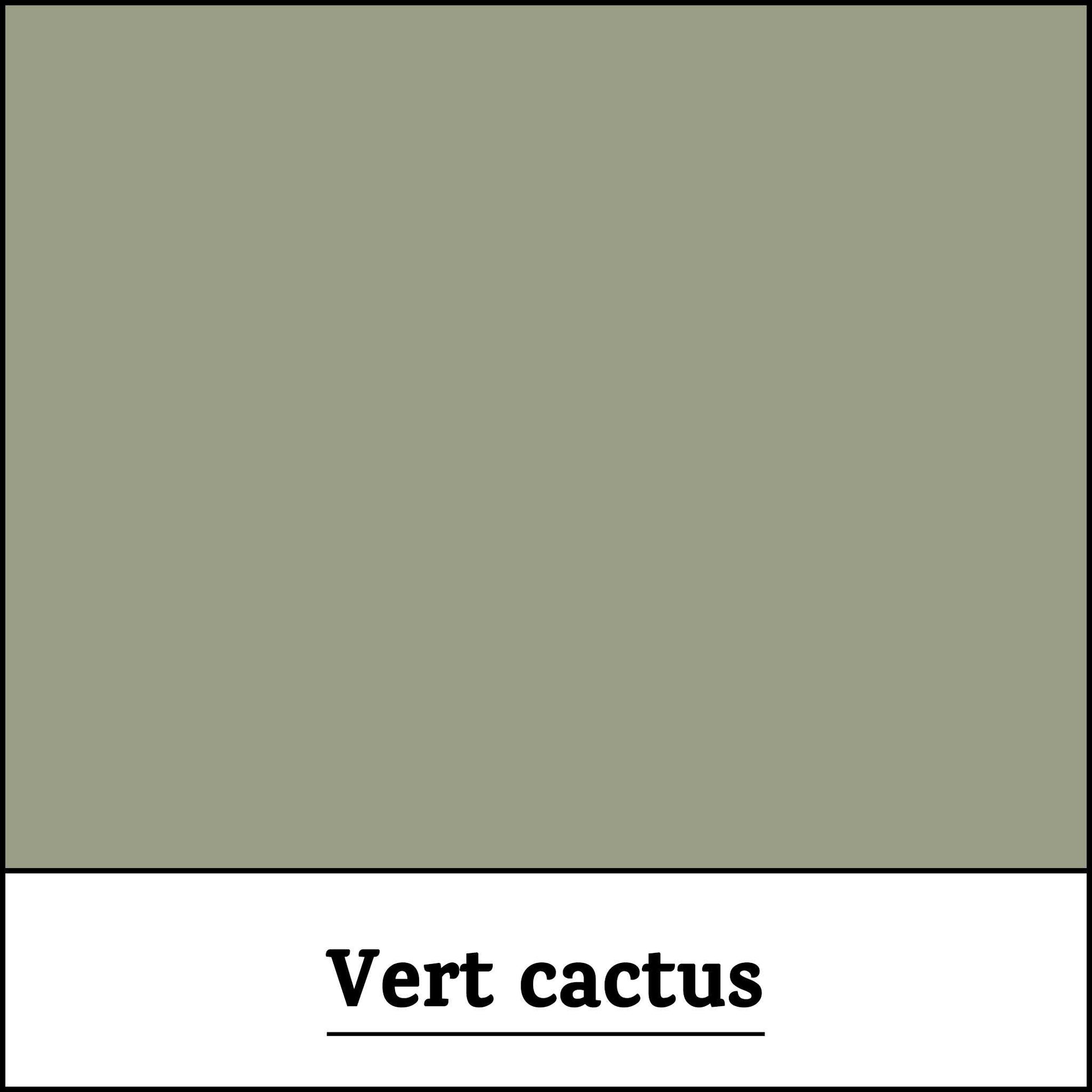 Peinture-teinte-vert-cactus