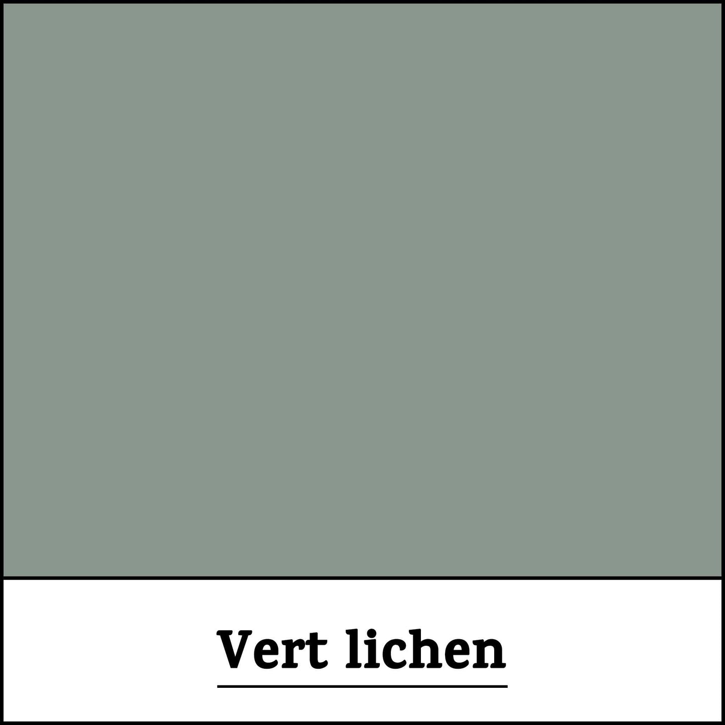 Peinture-teinte-vert-lichen