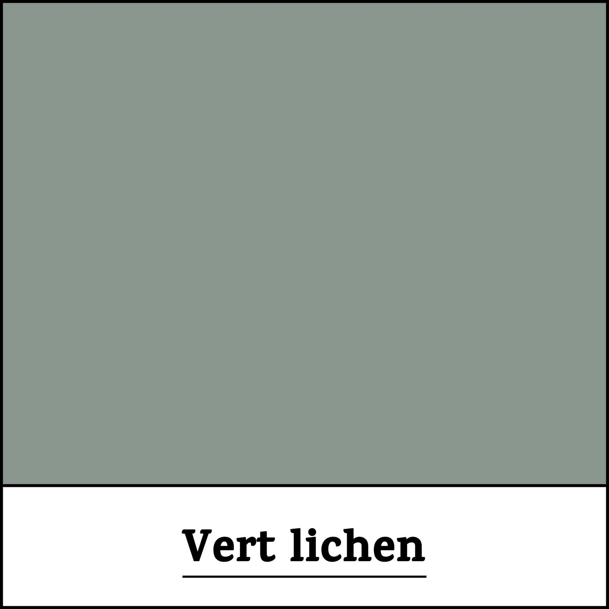 Peinture-teinte-vert-lichen