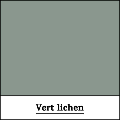 Peinture-teinte-vert-lichen